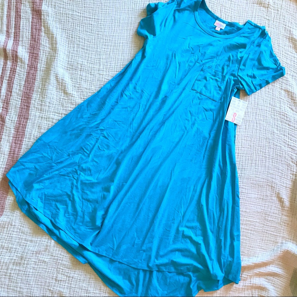 LuLaRoe Carly Swing Dress